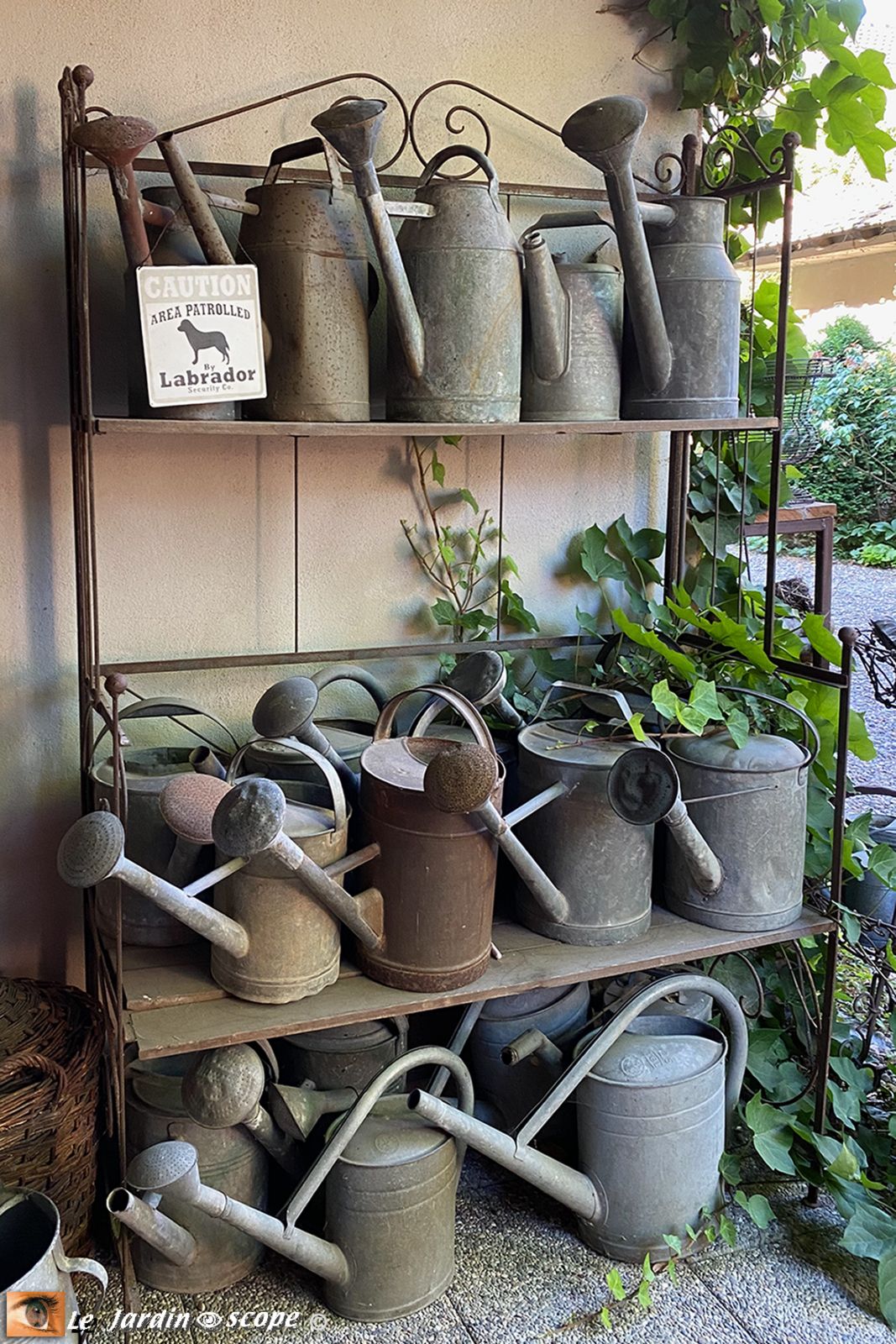 Collection d'arrosoir chez Pierrette Kieny