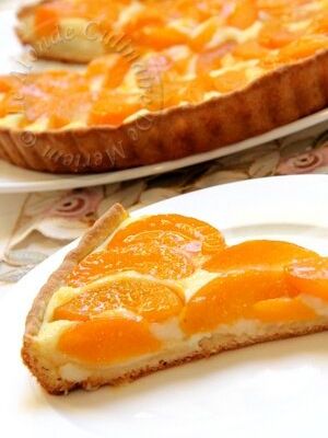 PATE A TARTE POUR FRUITS JUTEUX 