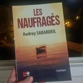 Chronique du livre d'Audrey Sabardeil - Les naufragés !!!