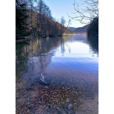 Ballade printannière dans les Vosges