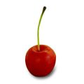 Noyaux de cerises