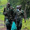 Débandade au sein du M23: Un officier supérieur rejoint les FARDC