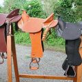 Cavaliers au long cours (2) : Jessica Bigler