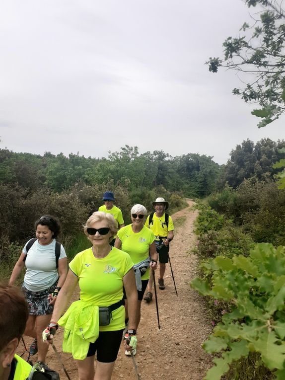 13km dans les collines de Flassans pour 13 sportifs 