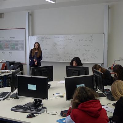 Projet environnement