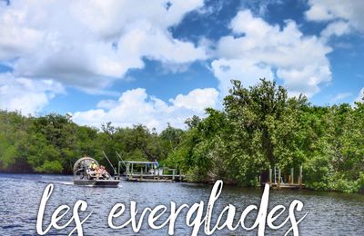 Un tour en air boat dans les Everglades