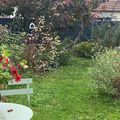 Retour dans mon Jardin entre les pluies d'automne