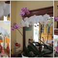 Regardez mes orchidées comme elles sont belles !