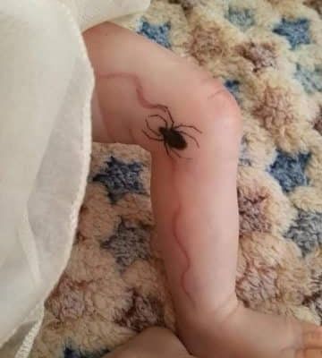 Vlad et Robbie ont été adoptés aux USA.