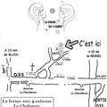 Plan d'accès