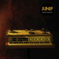 Junip – Rope And Summit EP