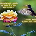 Comme l'oiseau a besoin du nectar de la fleur pour se nourrir 💚💚💚...