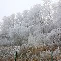 LA THIÉRACHE EN VIGILANCE « NEIGE ET VERGLAS ».