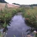 Découverte du parc du Marquenterre le 30 juillet 2018