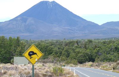 Tongariro Alpine Crossing !!