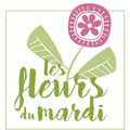 Les fleurs du mardi - blocs 3 et 4