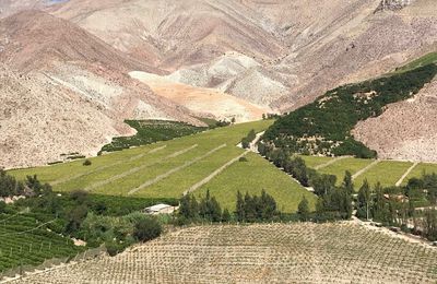 La Vallée de l'Elqui