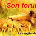 le nouveau forum est arrivé