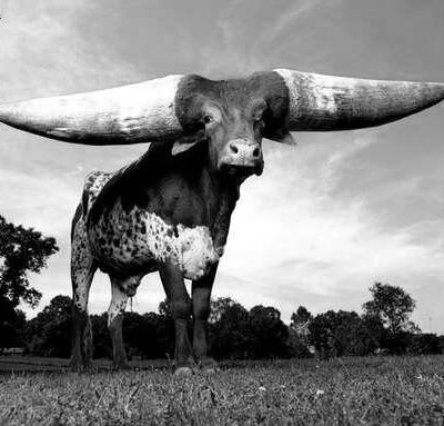 C'est décidé, j'arrête