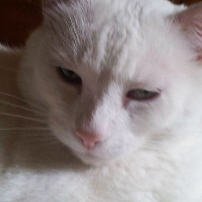 "Comme un voyageur égaré dans les grands froids..."