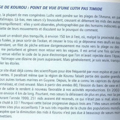 Programme tortues marines