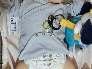 DIEGO du Kit de Karola Wegerich    VENDU