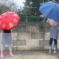 Sous les parapluies ... 