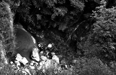 Cascade du Loup