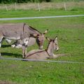 Jolie sainte famille !