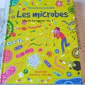 Découvrons ensemble : les microbes