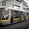 Nouvelle ligne de Luas (tram)