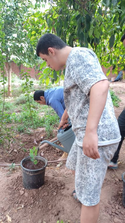 Faire une plantation