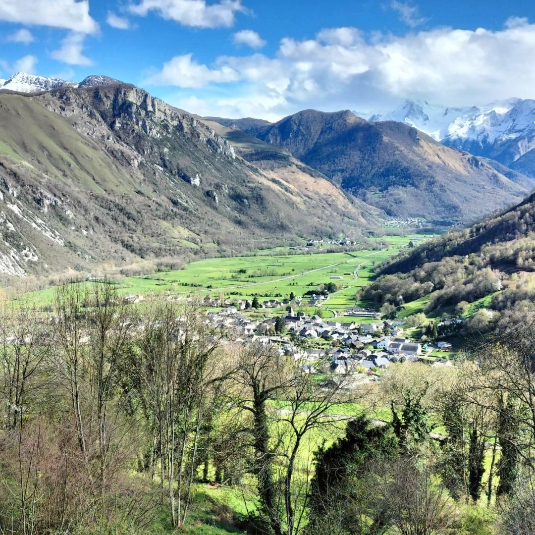 Bielle, entrée de la vallée d'Ossau, avril 2024, insta (64)