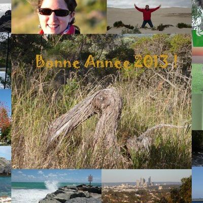 Bonne Annee 2013!