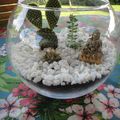 mon petit terrarium