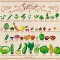 Les fruits et légumes de Juillet 