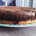 Gâteau chocolat avec fond noix de coco