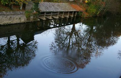 le vieux lavoir de parigny-manche