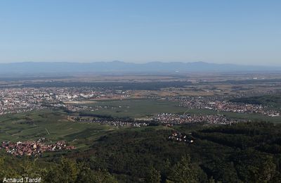Découvrir les villages de l'Alsace, le long de la route des vins