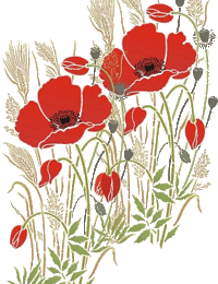 Noces de coquelicot