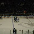 Sharks Game