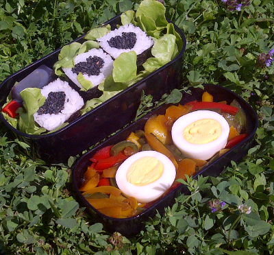 août 2013 : la folie bento me reprend !!