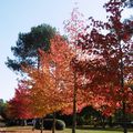 Une balade dans mon village, le 21 octobre....