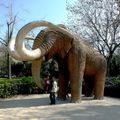 Un mammouth (parc de la Ciutadella)