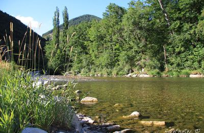 Bord du Tarn à Sainte-Enimie