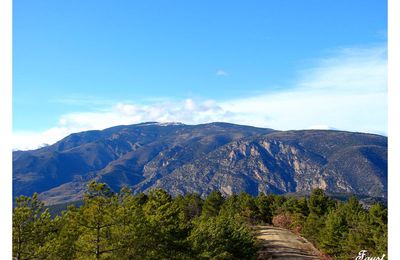 Paysage Pyrénéen du coté de Vernet les Bains