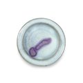 A small Junyao purple-splashed dish, Yuan Dynasty (1279-1368)