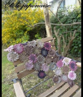 Etole japonaise en delight...