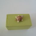 Petite boîte à bijoux tortue 