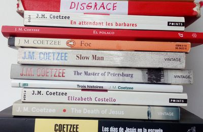 Las mejores novelas de Coetzee ordenadas de muy buenas a magistrales